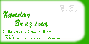 nandor brezina business card