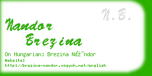 nandor brezina business card